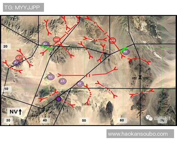 上海排球队在杯赛中的战术分析与表现评估探讨