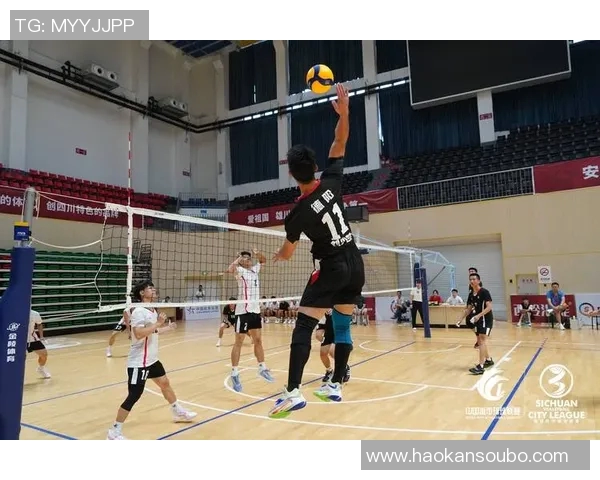 排球盛宴：深入分析成都排球队的战术布局与训练秘诀