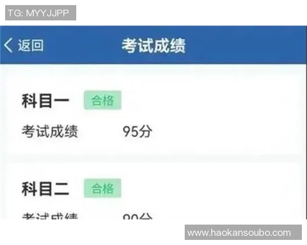 西安排球队个人能力分析与战术配合的深度探讨