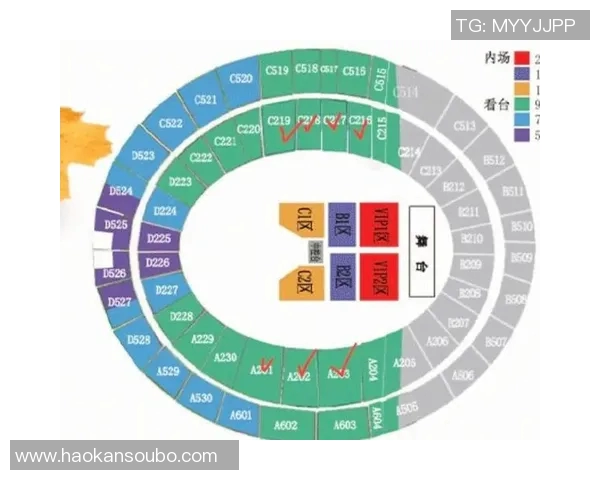 深圳足球明星赛座位安排揭秘让你轻松找到最佳观赛位置 深圳足球明星赛座位安排揭秘让你轻松找到最佳观赛位置