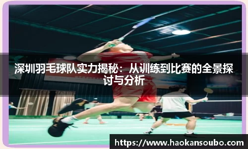 深圳羽毛球队实力揭秘：从训练到比赛的全景探讨与分析