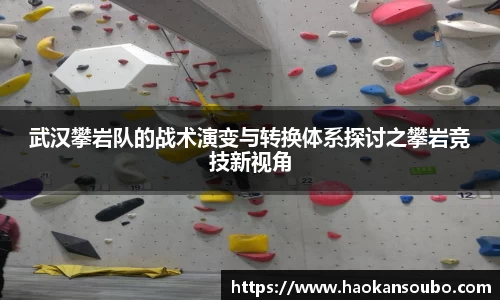 武汉攀岩队的战术演变与转换体系探讨之攀岩竞技新视角